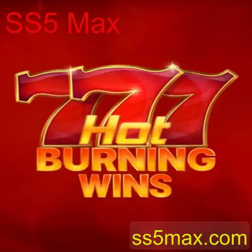 Explorando o Jogo HotBurningWins e a Dinâmica das Máquinas SS5 Max