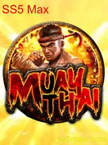 MuayThai SS5 Max: Descubra o Intenso Mundo do Esporte e Suas Regras